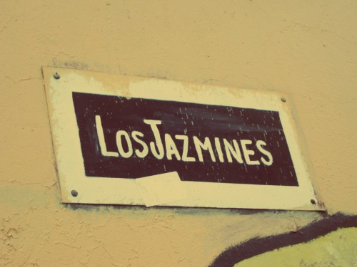 Calle Los Jasmines - Santiago - Chile - Mochilão América do Sul